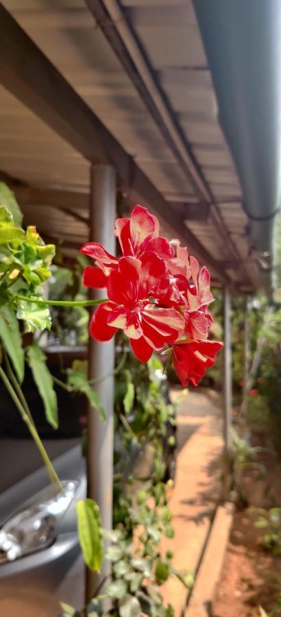 Westernghats Homestay Мадикери Экстерьер фото